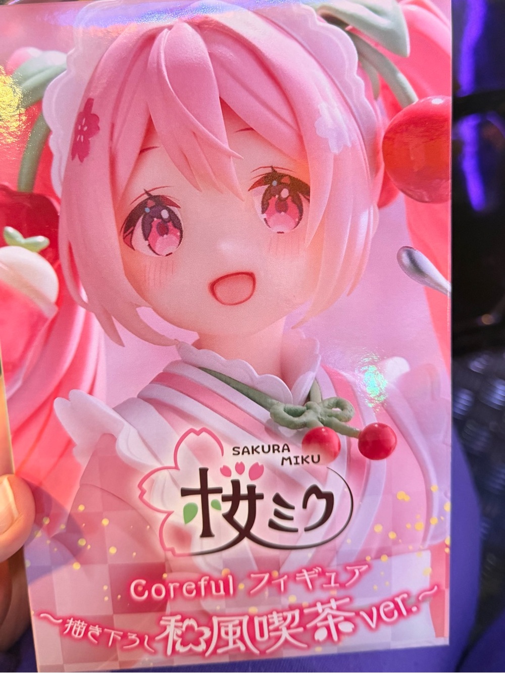 Sakura Pink Cherry Blossom Figure Box